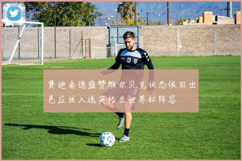 费迪南德盛赞维尔贝克状态依旧出色应该入选英格兰世界杯阵容