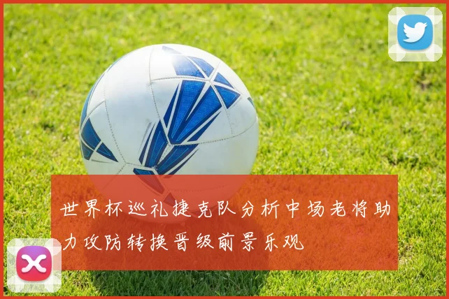 世界杯巡礼捷克队分析中场老将助力攻防转换晋级前景乐观