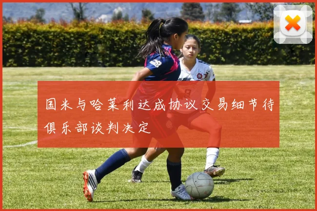 国米与哈莱利达成协议交易细节待俱乐部谈判决定